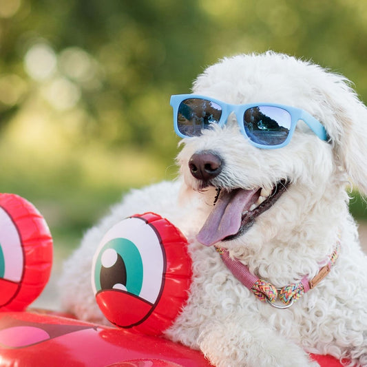 Tipps für heiße Sommertage