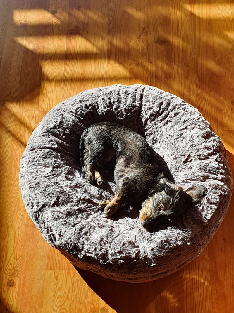Dackel Emma Bagelbettchen S Grau