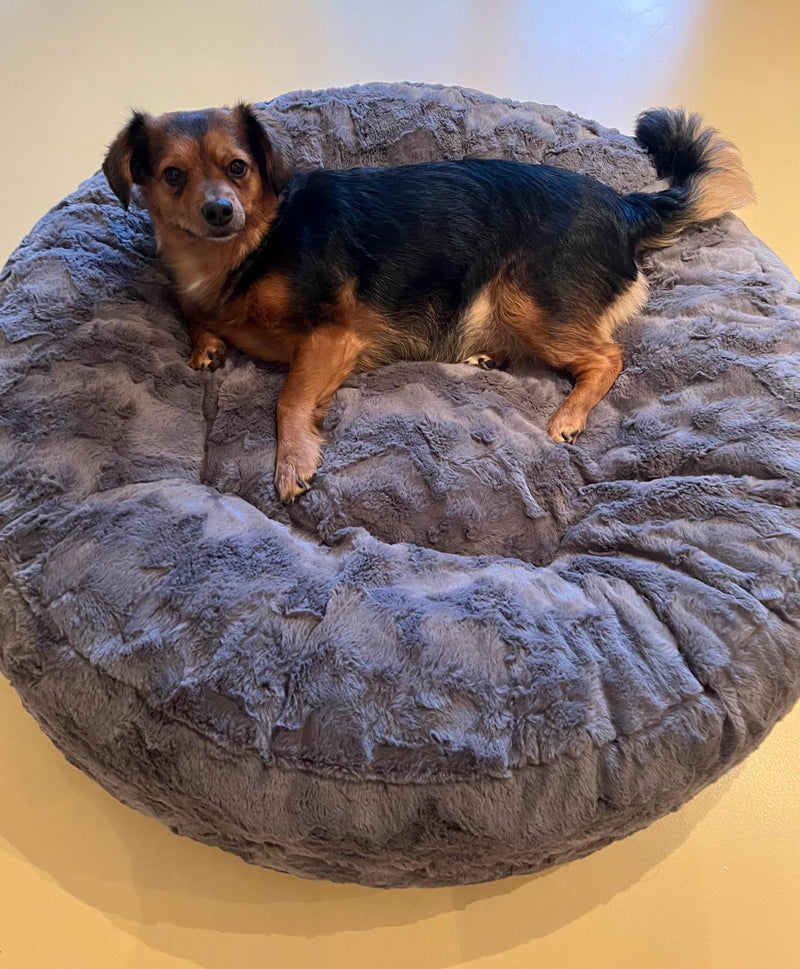 Dackel Mischling Kleni 12kg Bagelbettchen M Grau