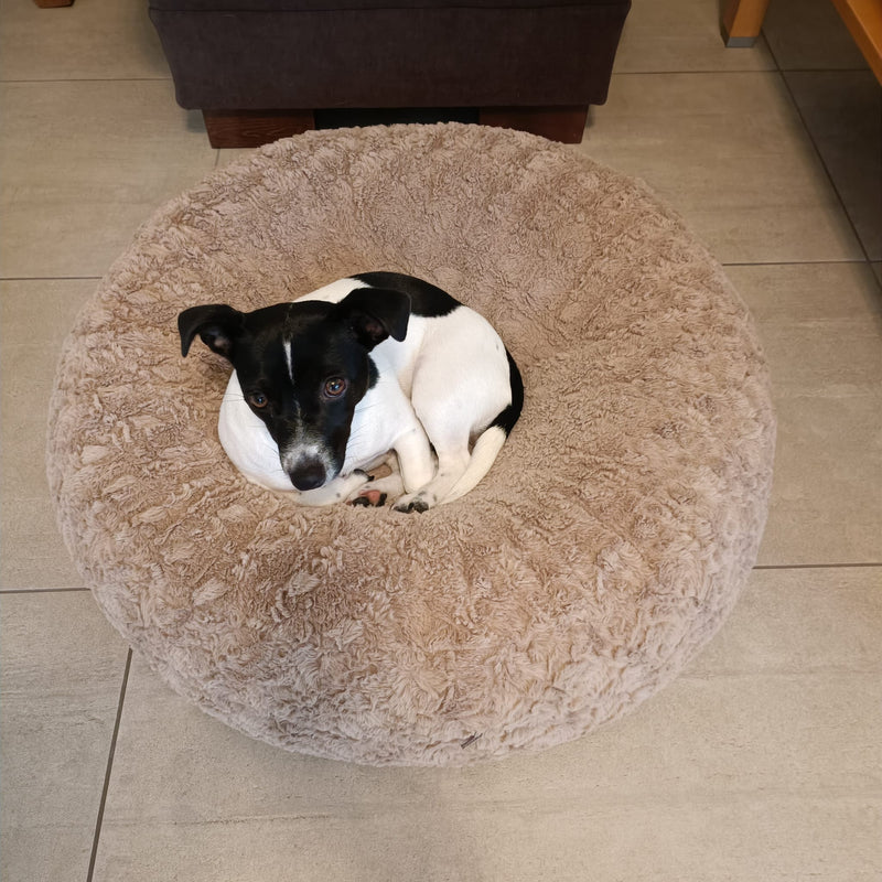 Jack Russell Milla Bagelbettchen S Beige