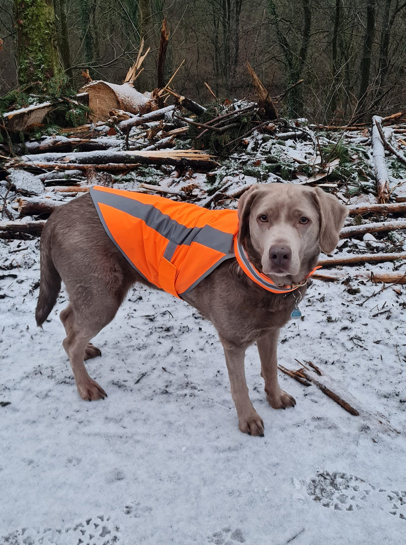 Labrador Alma 2 XL Warnweste NEONORANGE