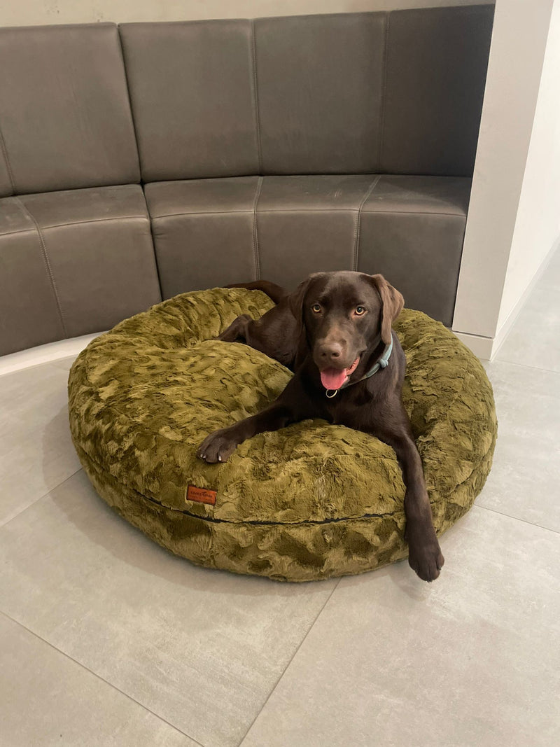 Labrador Filou Bagelbettchen L Moos