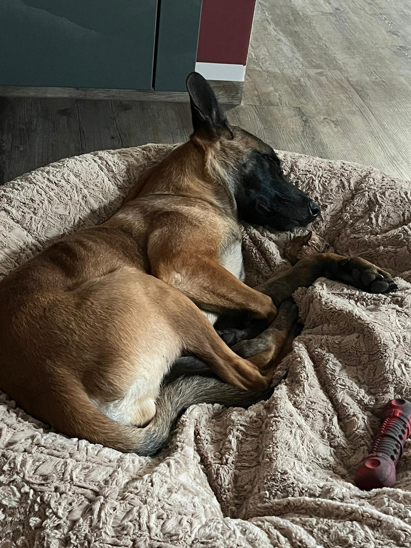 Malinoi Kailo Bagelbettchen L Beige