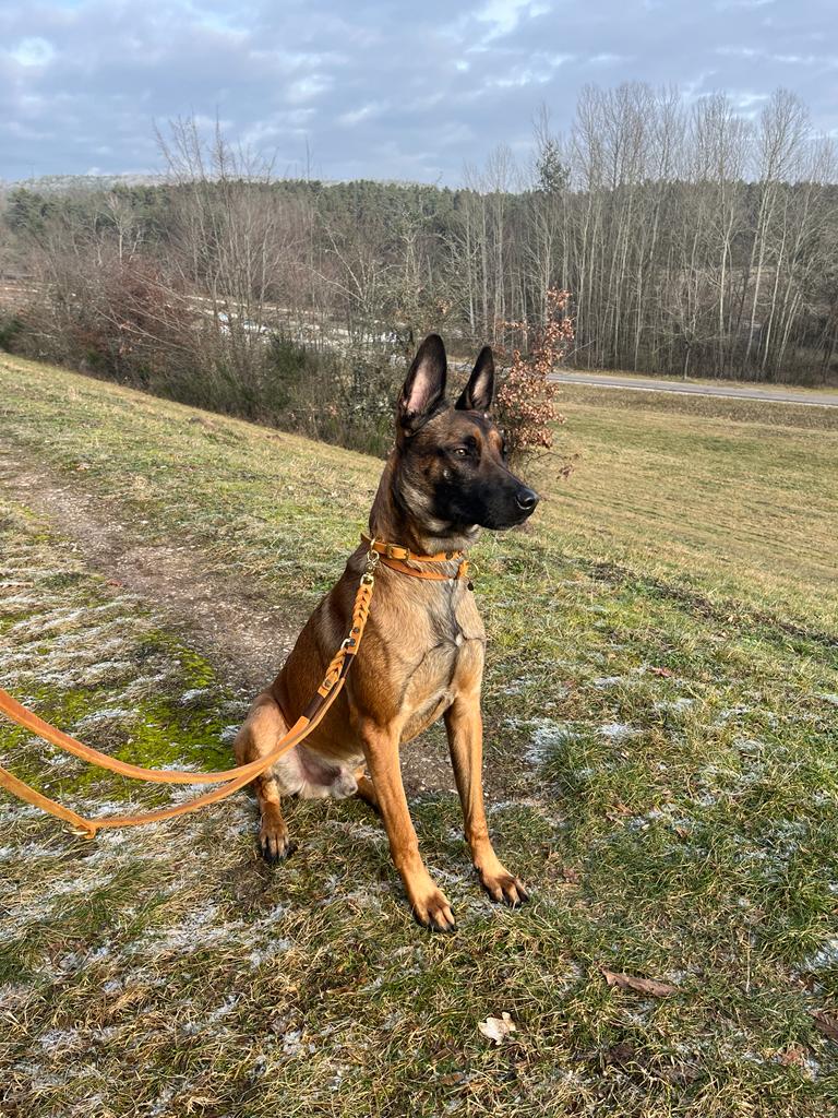 Malinoi Kailo in Tender Pur und Fettlederleine SPORTY mit Lederschlupfi