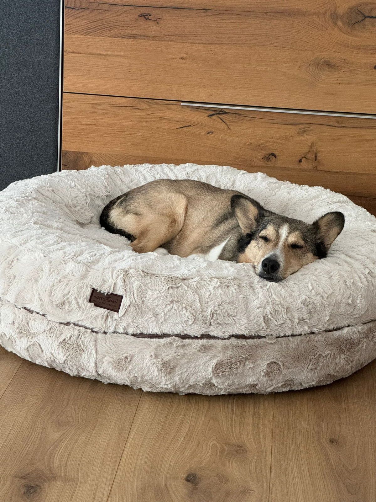Stella in Bagel Fell BEIGE