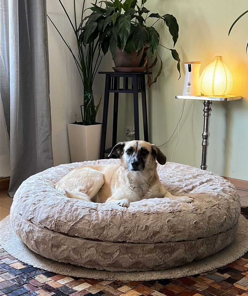 Maggie in Bagel Beige Größe L