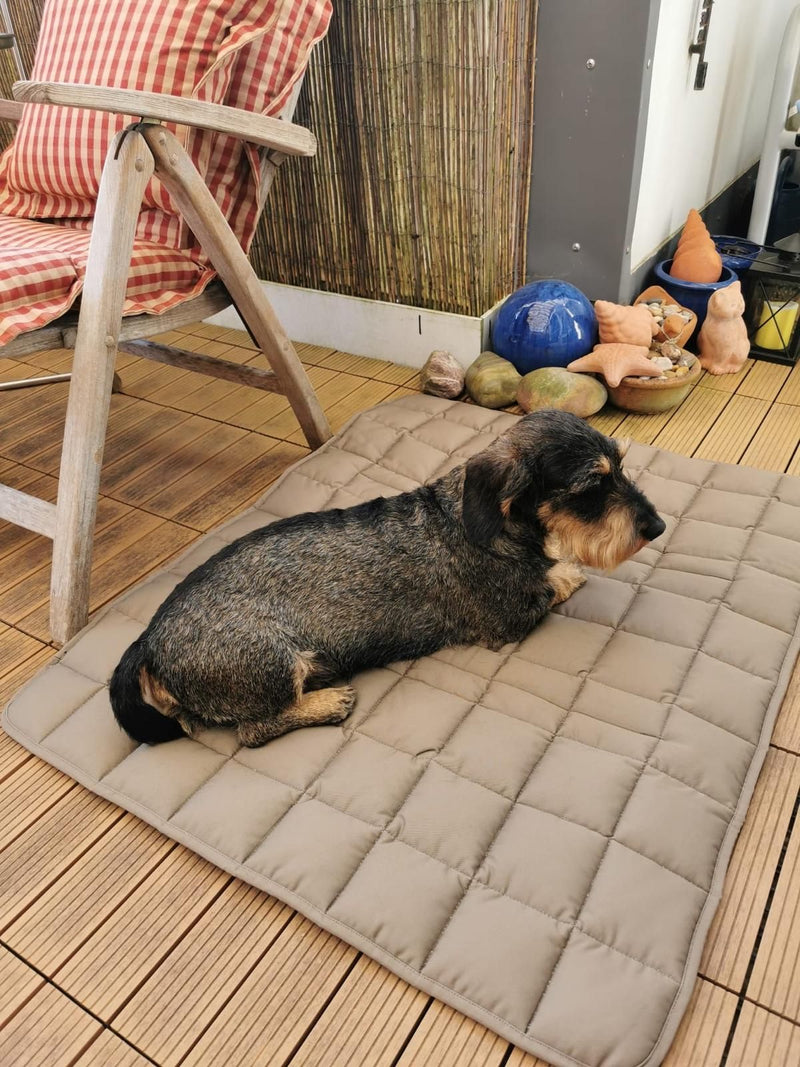 Dackel Iggy auf Reisedecke Pocket, Beige