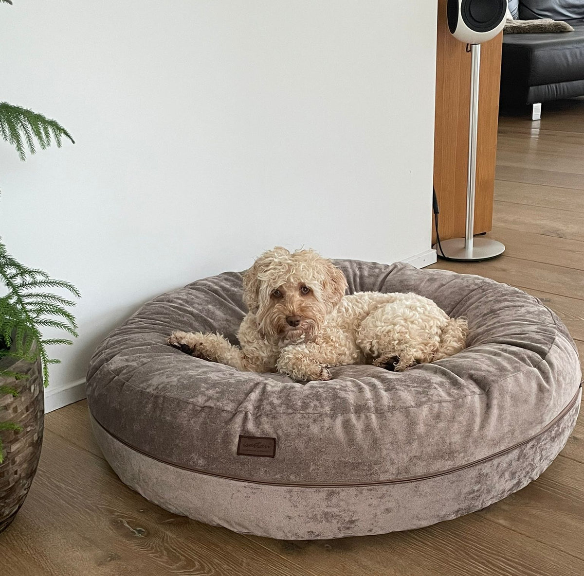 Smilla in Bagel Velours TAUPE
