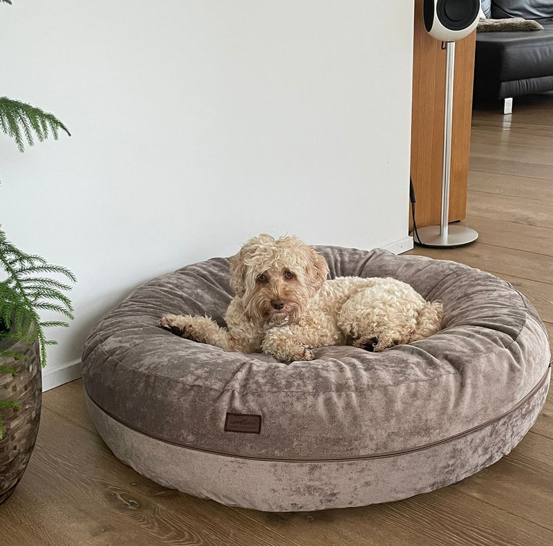 Smilla in Bagel Velours TAUPE