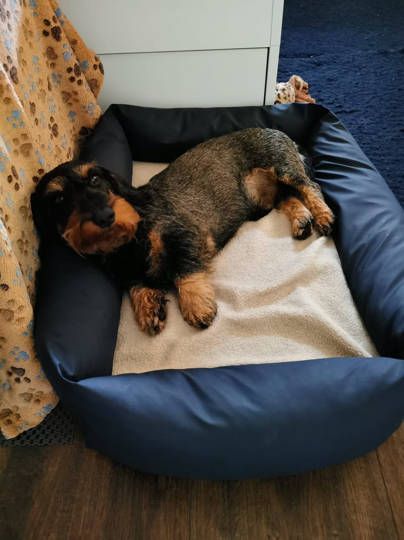 Dackel Iggy Hundebett Ortho Safe