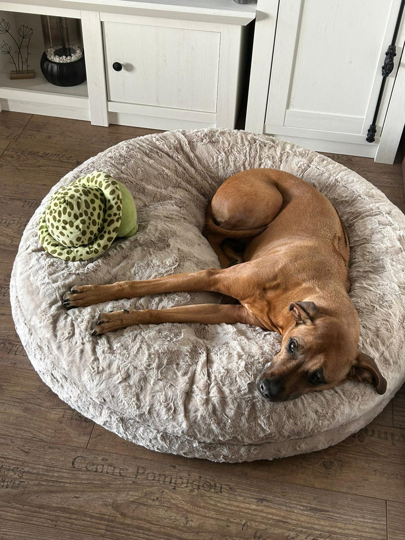 Ridgeback Lima Bagel L beige