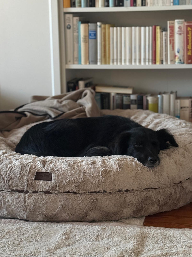 Tashi in Bagelbettchen Beige Größe L