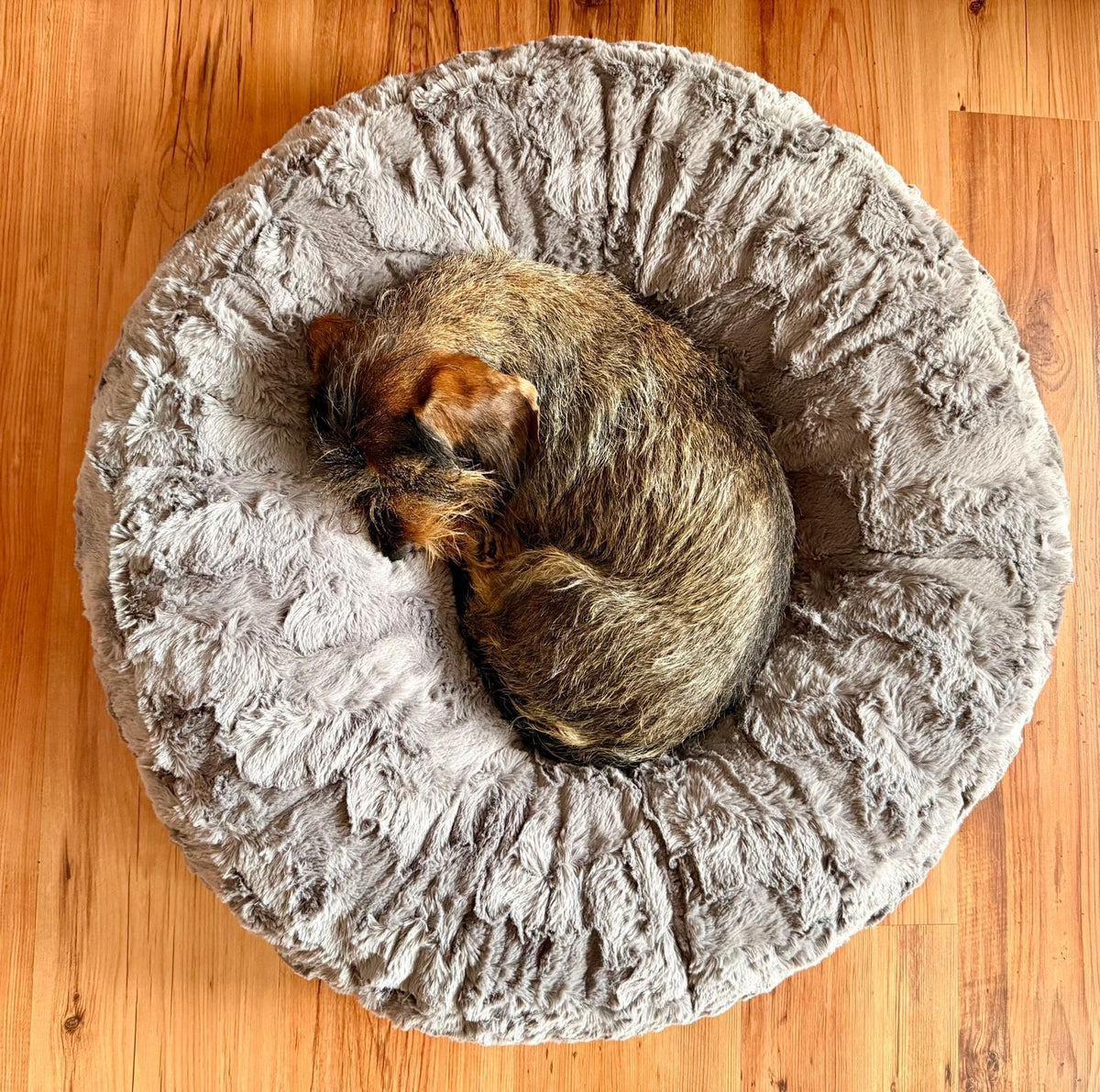 Dackel Pauline Bagelbettchen Grau, Groesse S