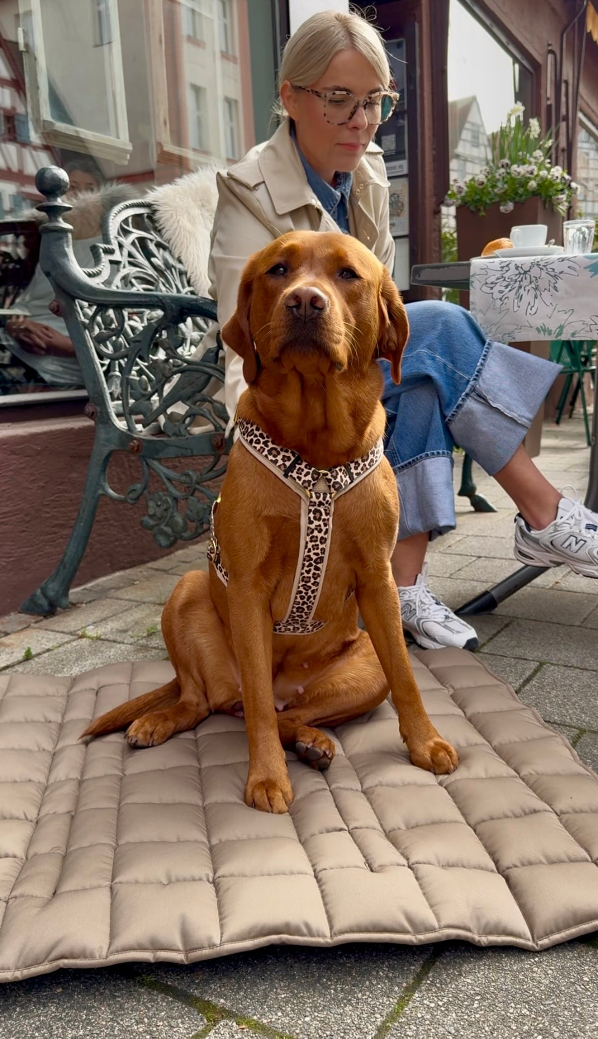 Labrador Nala auf Reisedecke Pocket, Beige