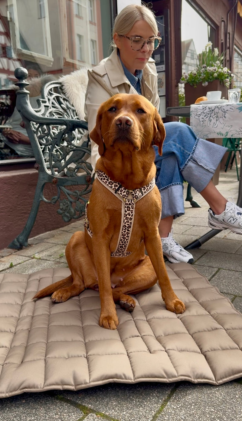 Labrador Nala auf Reisedecke Pocket, Beige