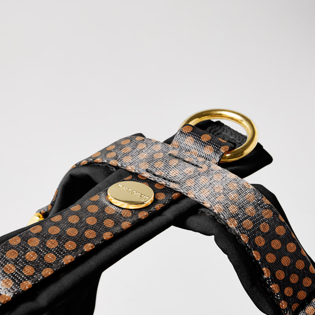 Hundegeschirr POLKA DOTS, Schwarz