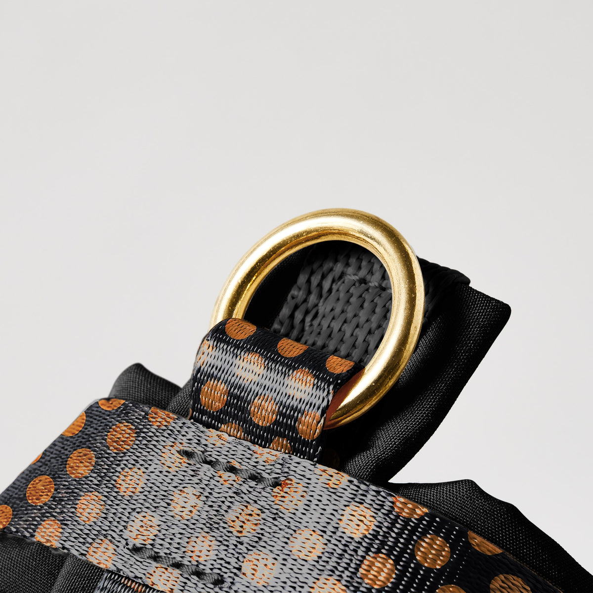 Hundegeschirr POLKA DOTS, Schwarz