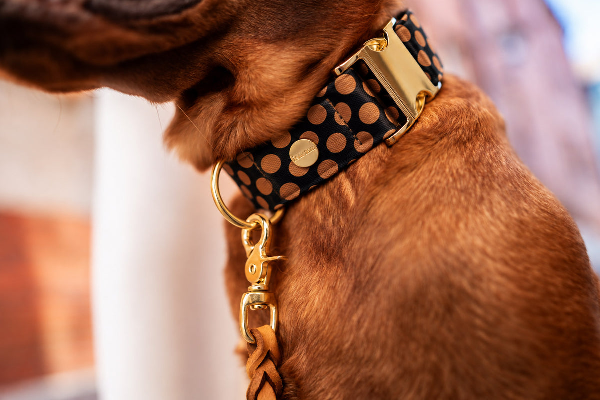 Designerhalsband POLKA DOTS, Schwarz