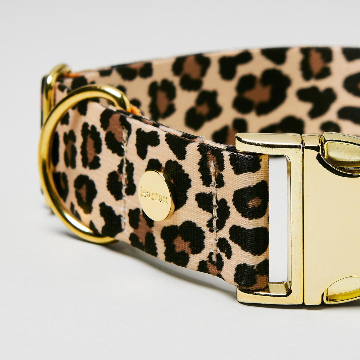 Nahaufnahme verstellbares Hundehalsband Leo goldfarben, Gurtband im Leoprint Design