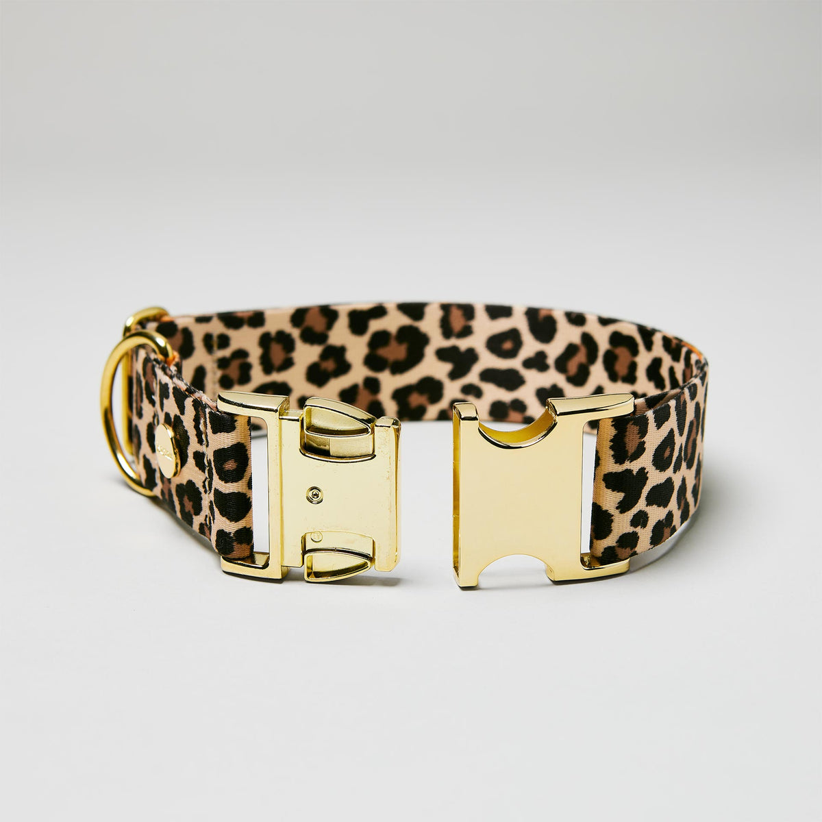 Detailaufnahme verstellbares Halsband Leo mit offener goldfarbener Steckschließe, Gurtband mit Leoprint