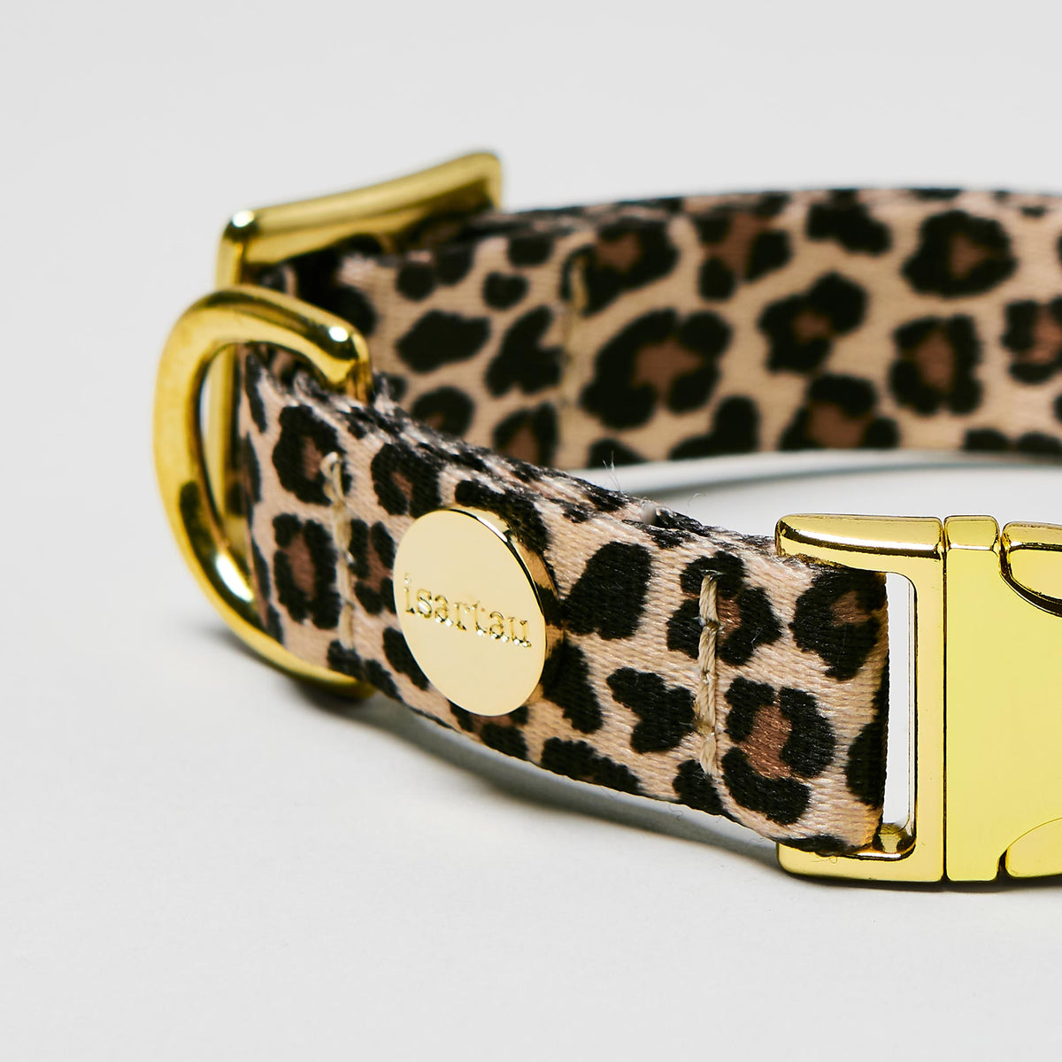 Nahaufnahme verstellbares Hundehalsband Leo goldfarben, Gurtband im Leoprint Design