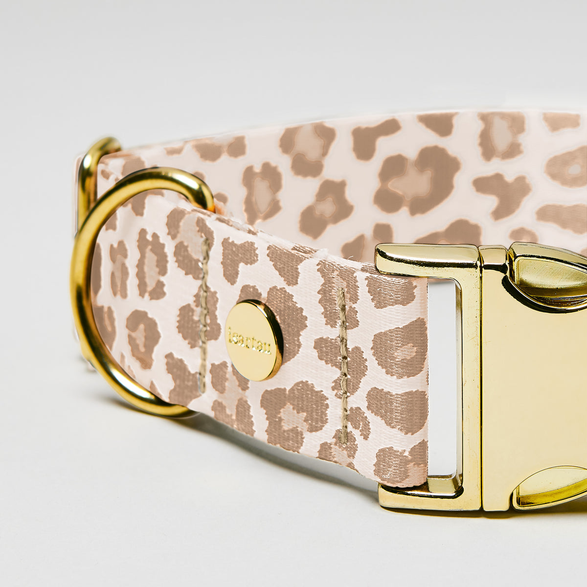 isartau Hundehalsband „Golden Leo“, goldfarbene Beschläge, Detailansicht