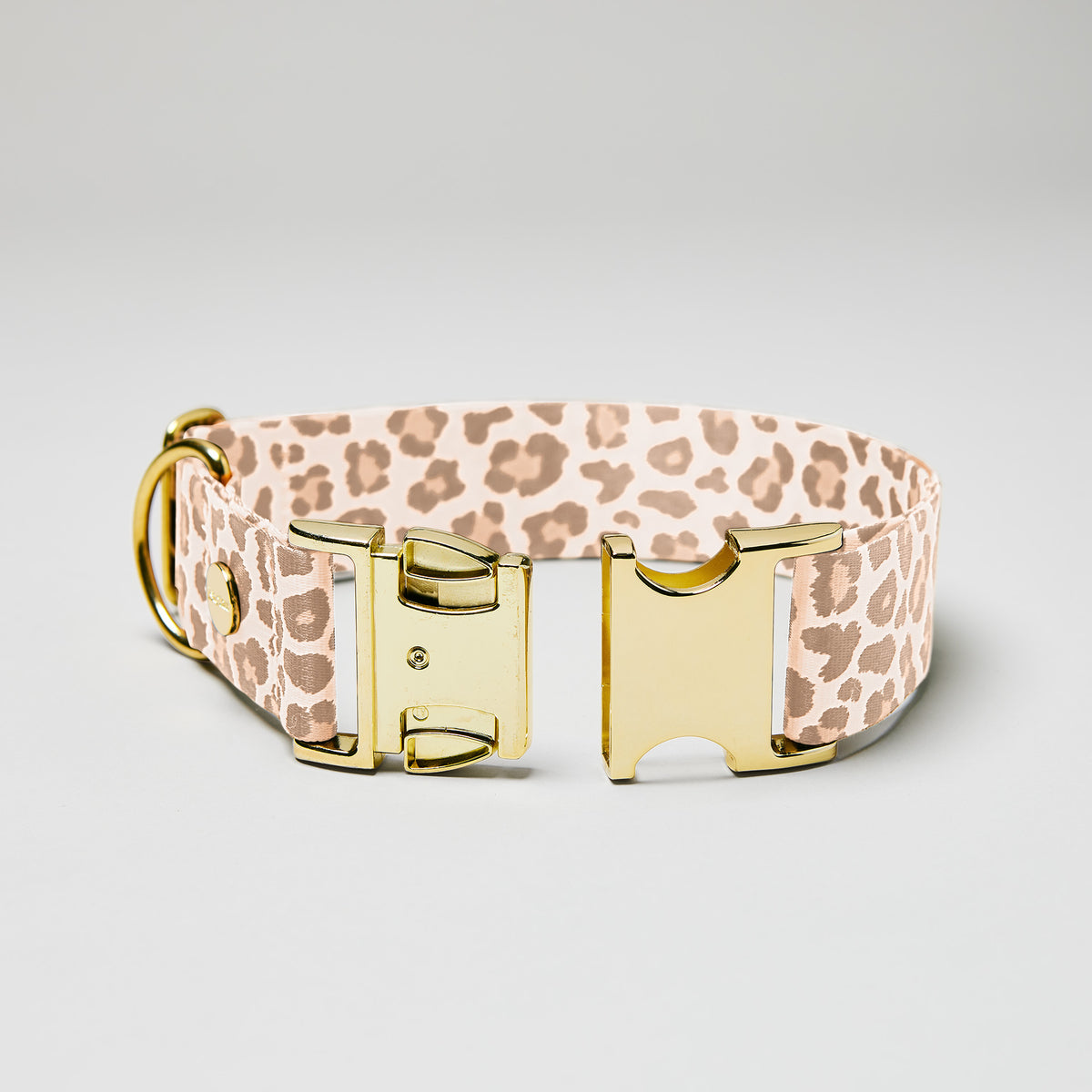 isartau Hundehalsband „Golden Leo“, goldfarbene Beschläge, Detailansicht