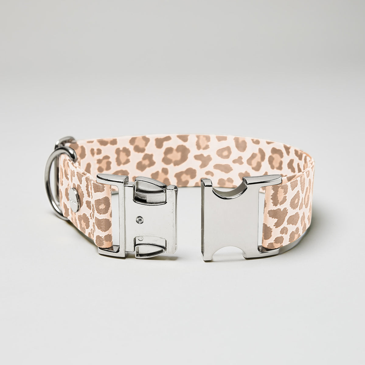 isartau Hundehalsband „Golden Leo“, silberfarbene Beschläge, Detailansicht