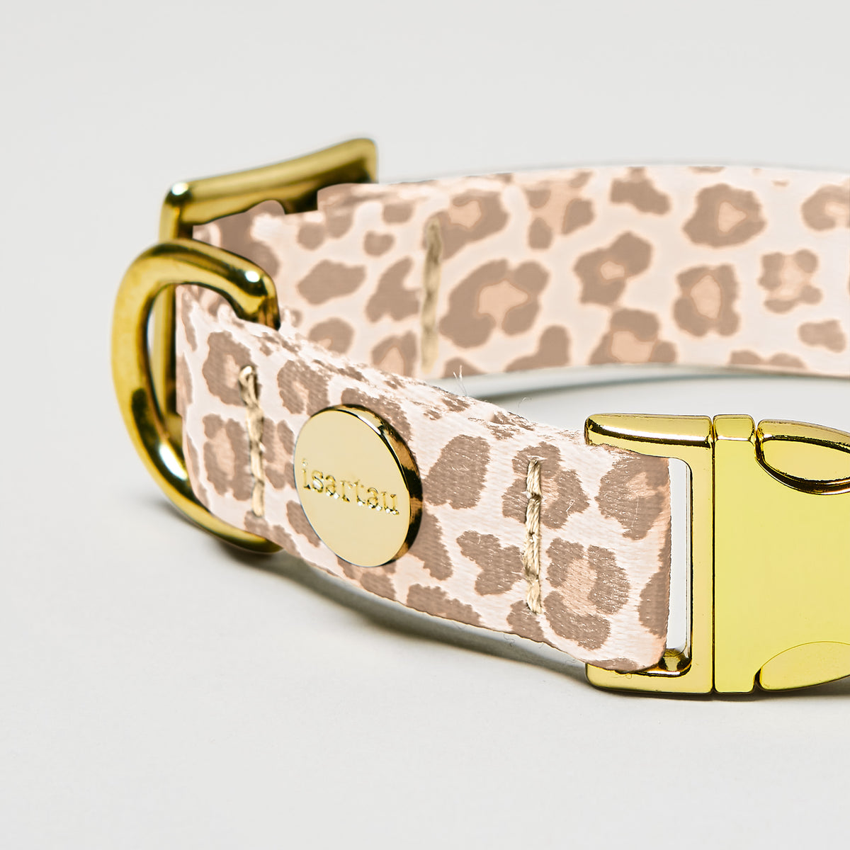 isartau Hundehalsband „Golden Leo“, goldfarbene Beschläge, Detailansicht