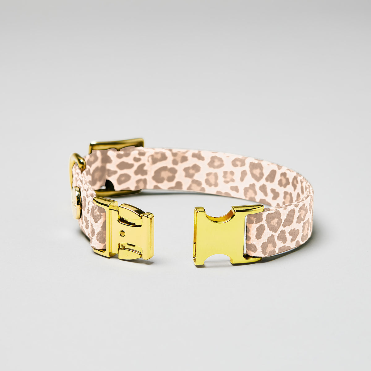 isartau Hundehalsband „Golden Leo“, goldfarbene Beschläge, Detailansicht