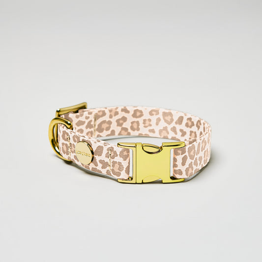 isartau Hundehalsband „Golden Leo“, goldfarbene Beschläge