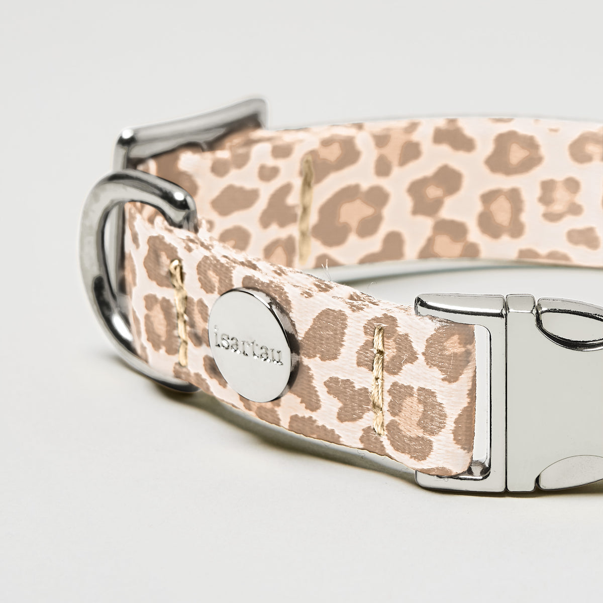 isartau Hundehalsband „Golden Leo“, silberfarbene Beschläge, Detailansicht