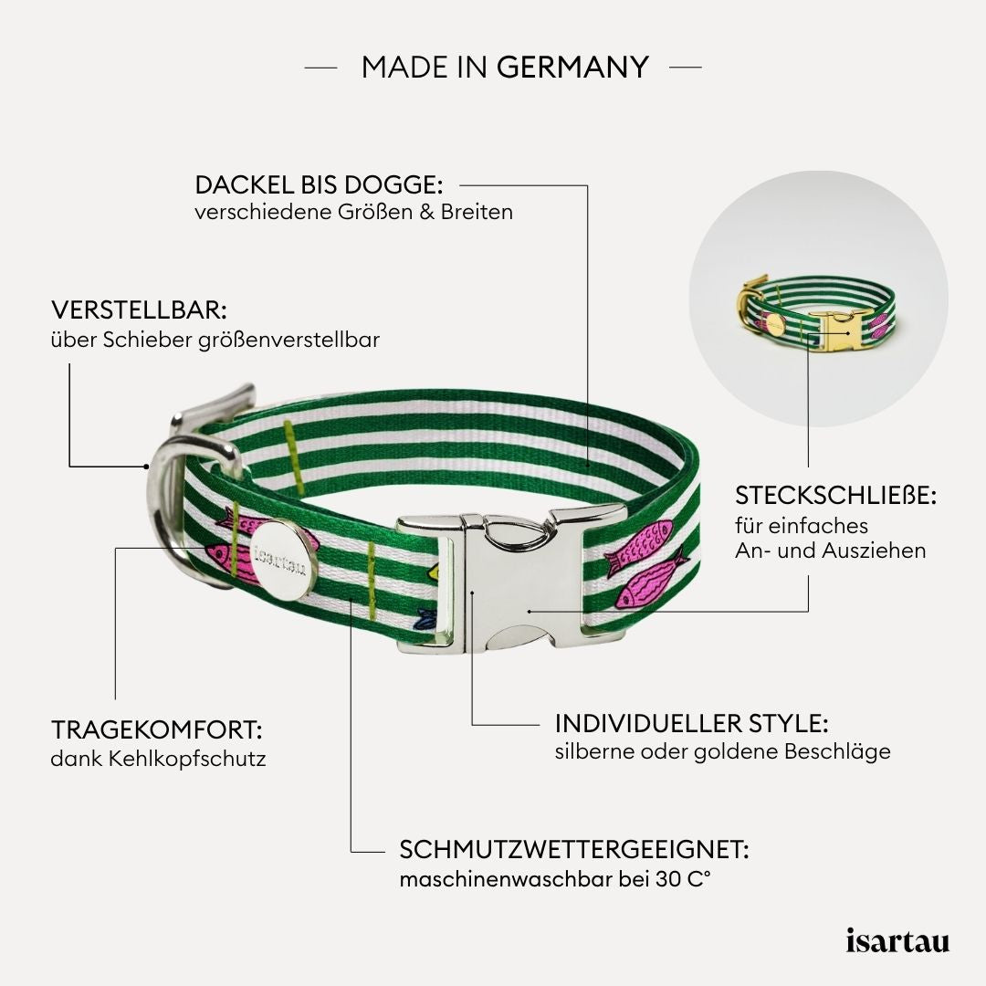 Grafik zeigt USPs Designerhalsband SALTY (Fischmotiv)