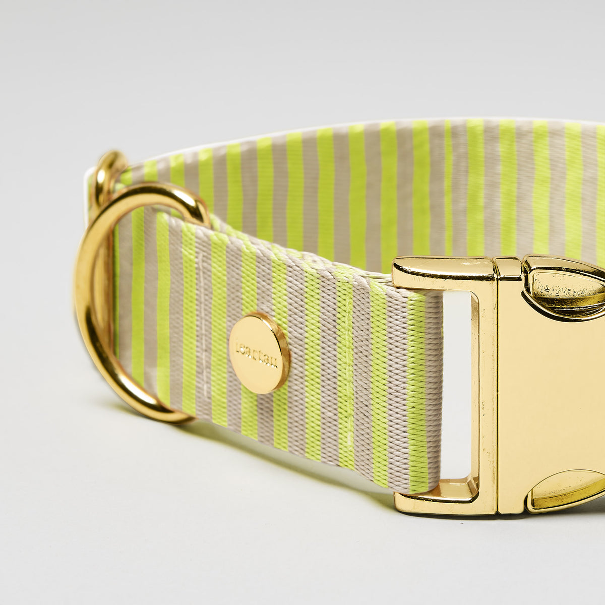 isartau Hundehalsband „Sunny“, goldfarbene Beschläge, Detailansicht