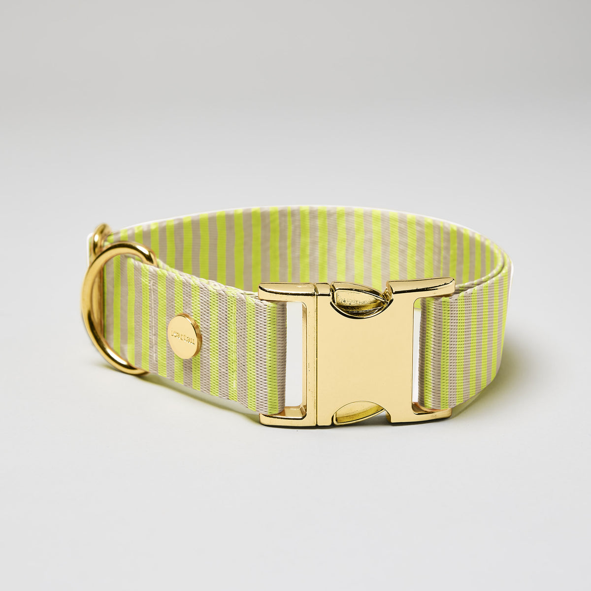 isartau Hundehalsband „Sunny“, goldfarbene Beschläge