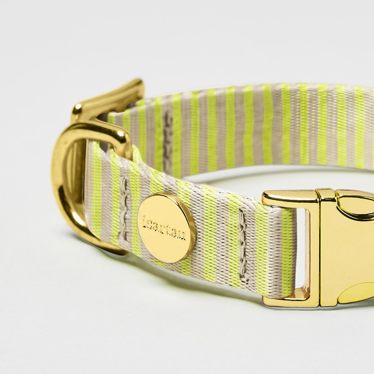 isartau Hundehalsband „Sunny“, goldfarbene Beschläge, Detailansicht