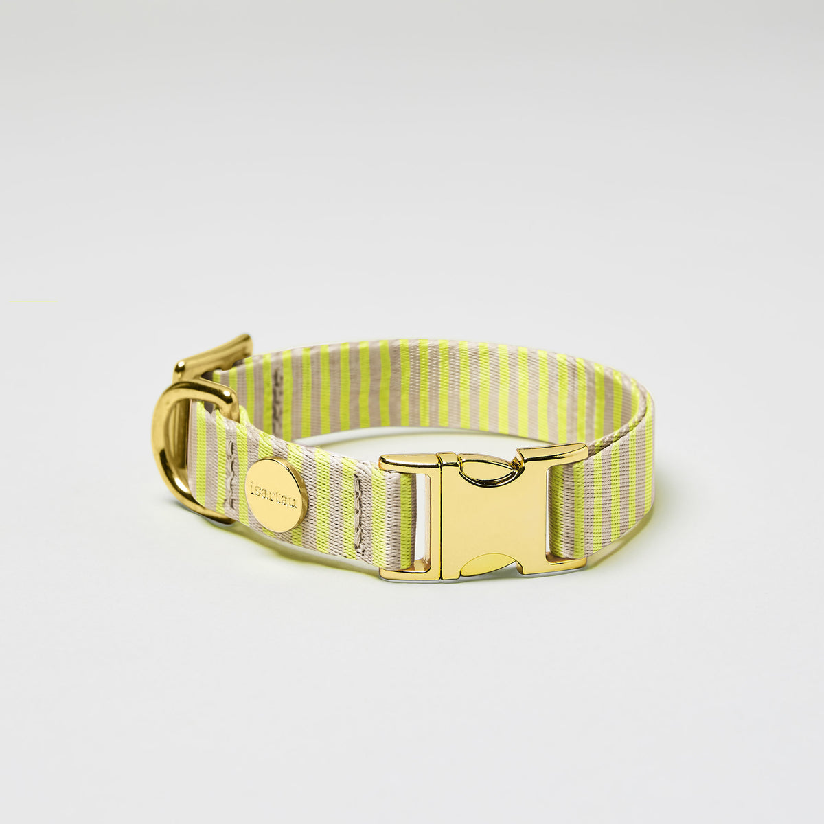isartau Hundehalsband „Sunny“, goldfarbene Beschläge