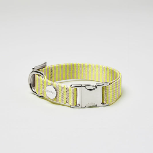isartau Hundehalsband „Sunny“, silberfarbene Beschläge