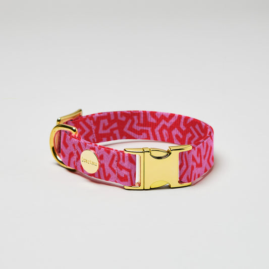 isartau Hundehalsband „Sweety“, goldfarbene Beschläge
