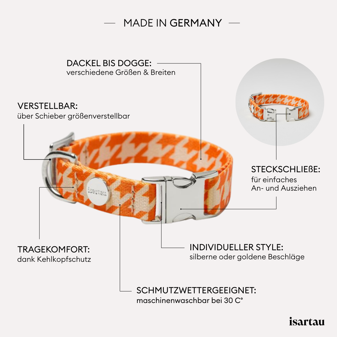 isartau Hundehalsband „Wandler“, Produktdetails
