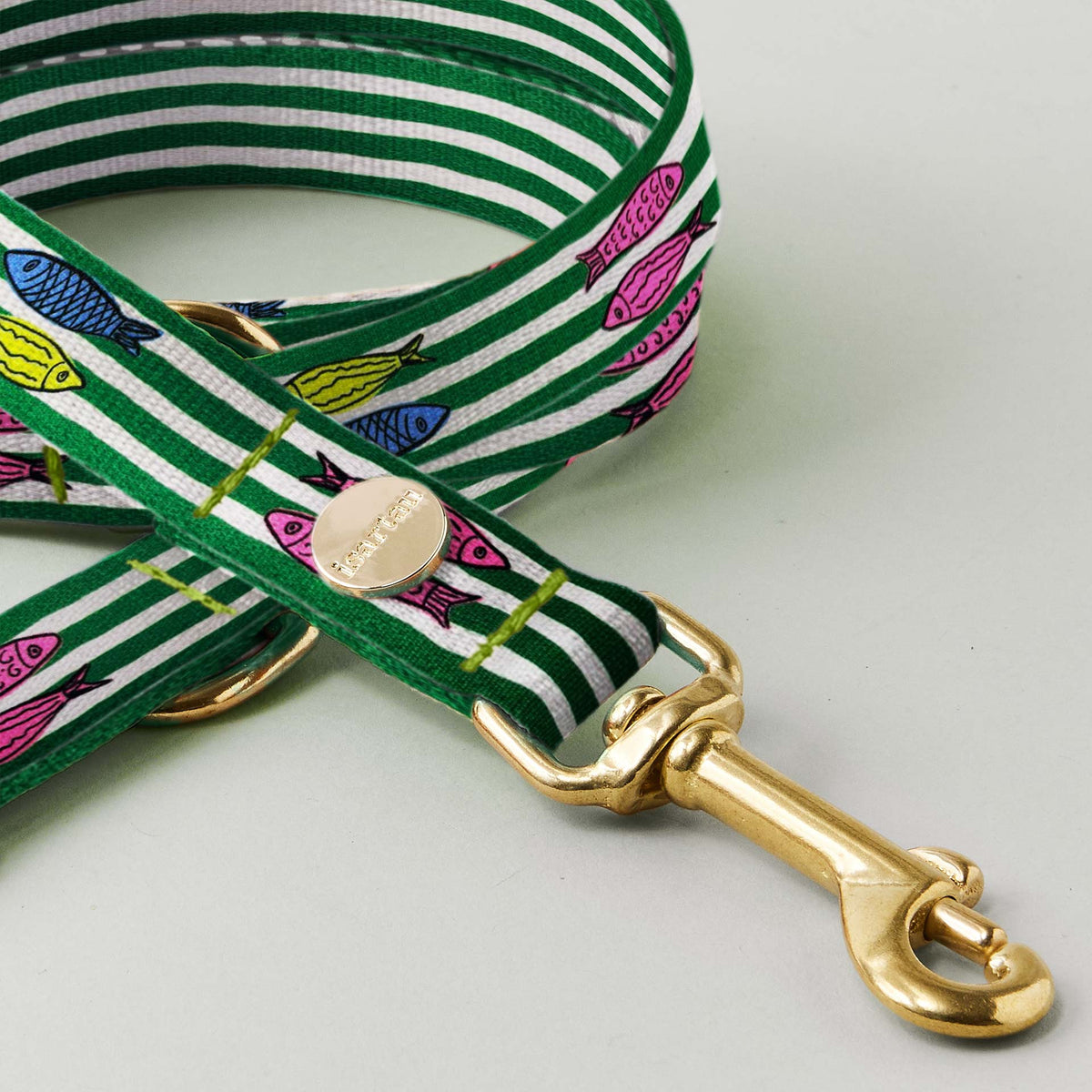 Detailaufnahme Bolzenkarabiner, Designerleine SALTY, 15 und 20 mm breites Gurtband in grün/weiß mit goldfarbenen Karabinern