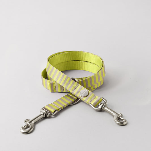 Verstellbare Hundeleine SUNNY, 15 und 20 mm breites Gurtband beige/limette gestreift, silberfarbene Karabiner