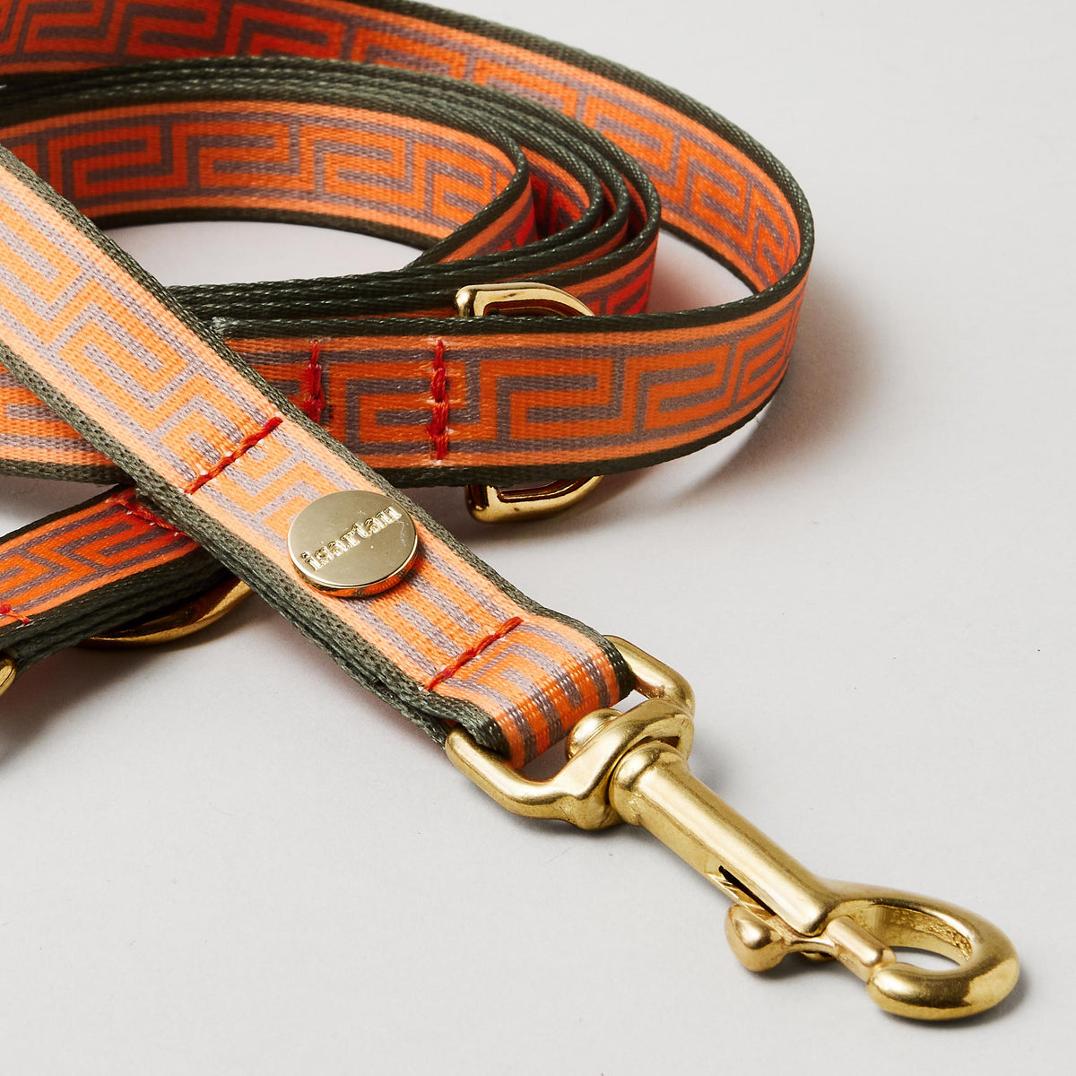Detail verstellbare Hundeleine Wellenbrecher 15 und 20 mm breites Gurtband mit Mäander Muster goldfarbene Karabiner
