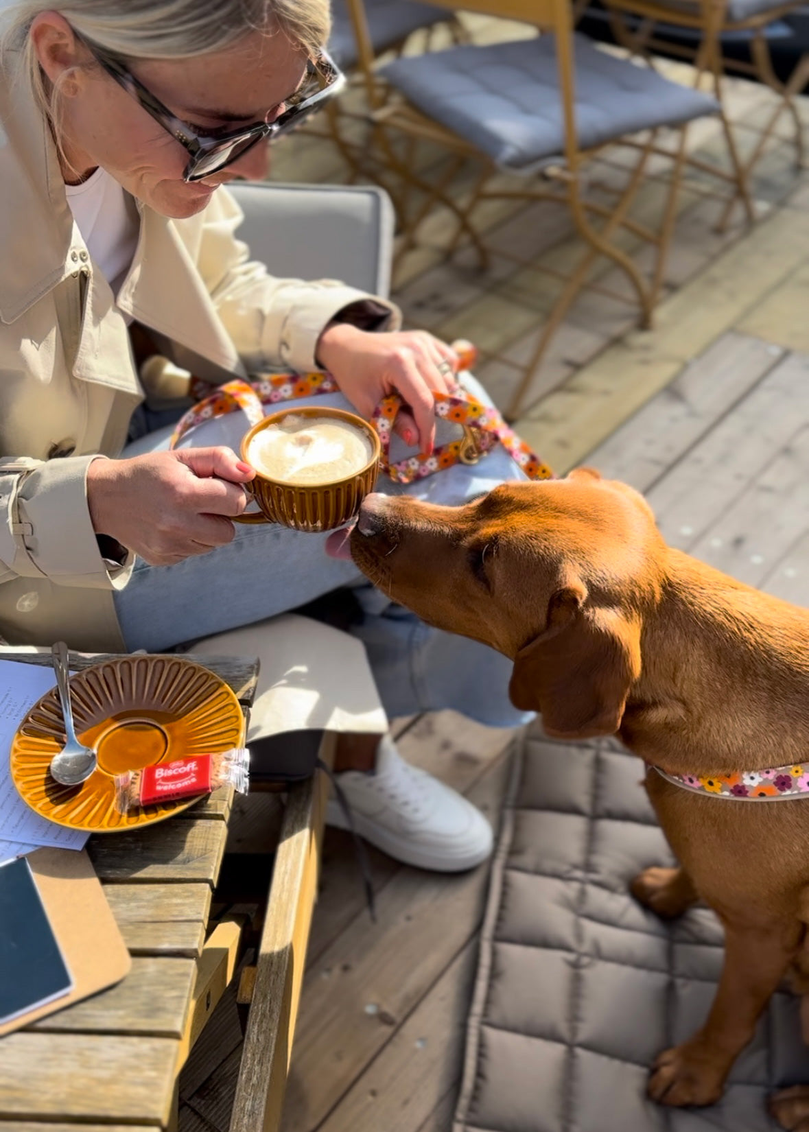 Labrador Nala schnuppert an Cappuccino des Frauchens