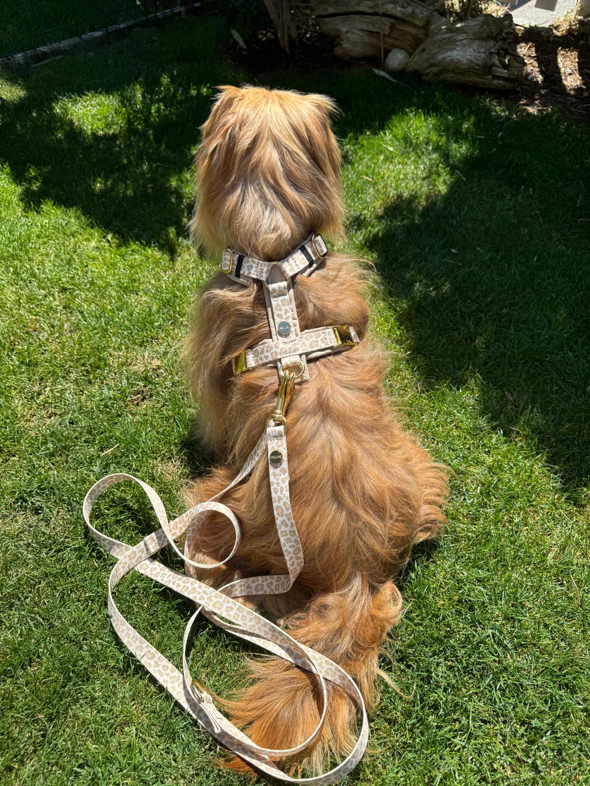 Designerleine GOLDEN LEO, 190 cm (Standard)