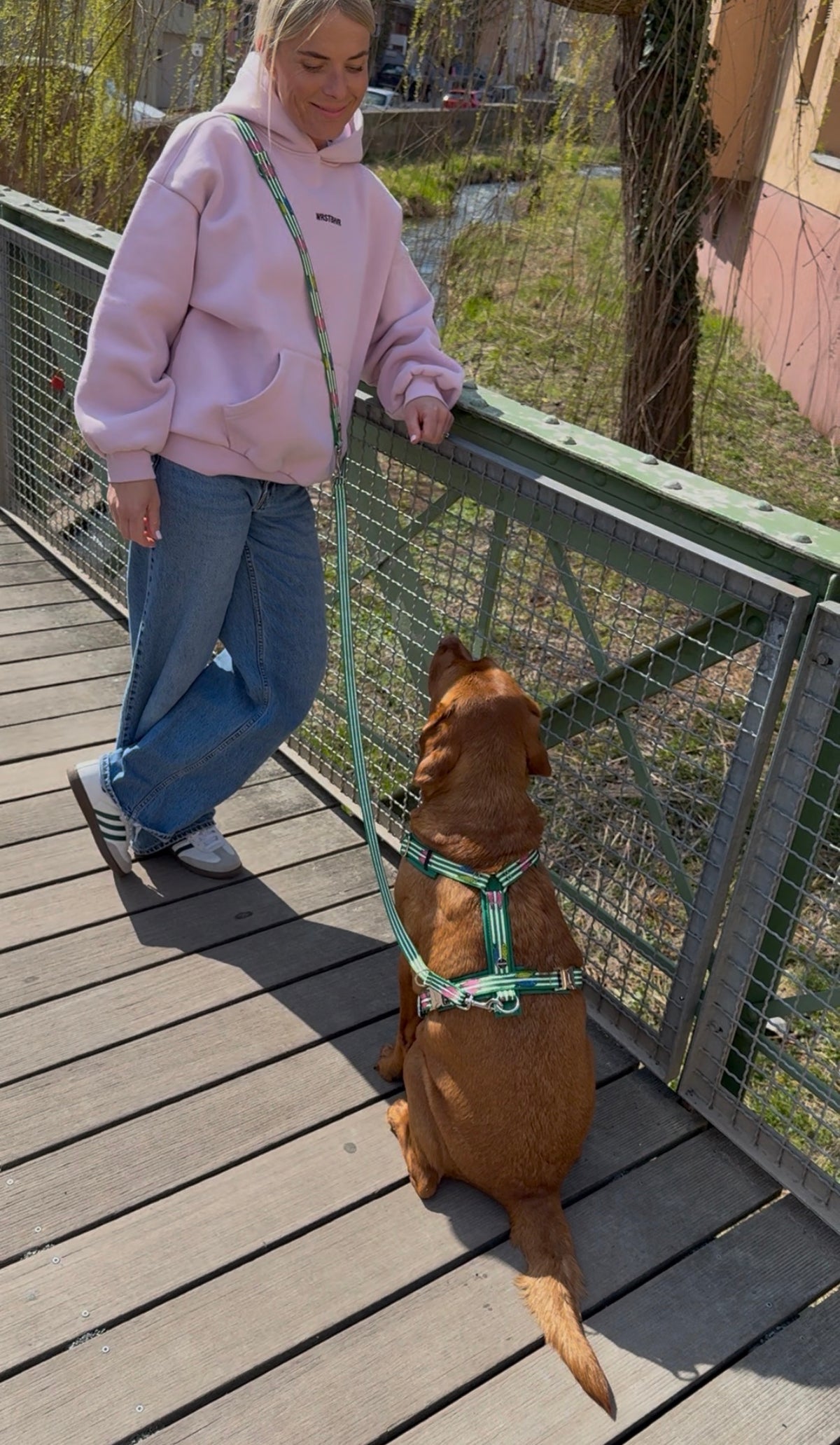 Frau mit Labrador steht mit Frauchen an der Brücke, Hund trägt Geschirr aus der Designerlinie SALTY, Farbe Grün und Beige mit Fischen