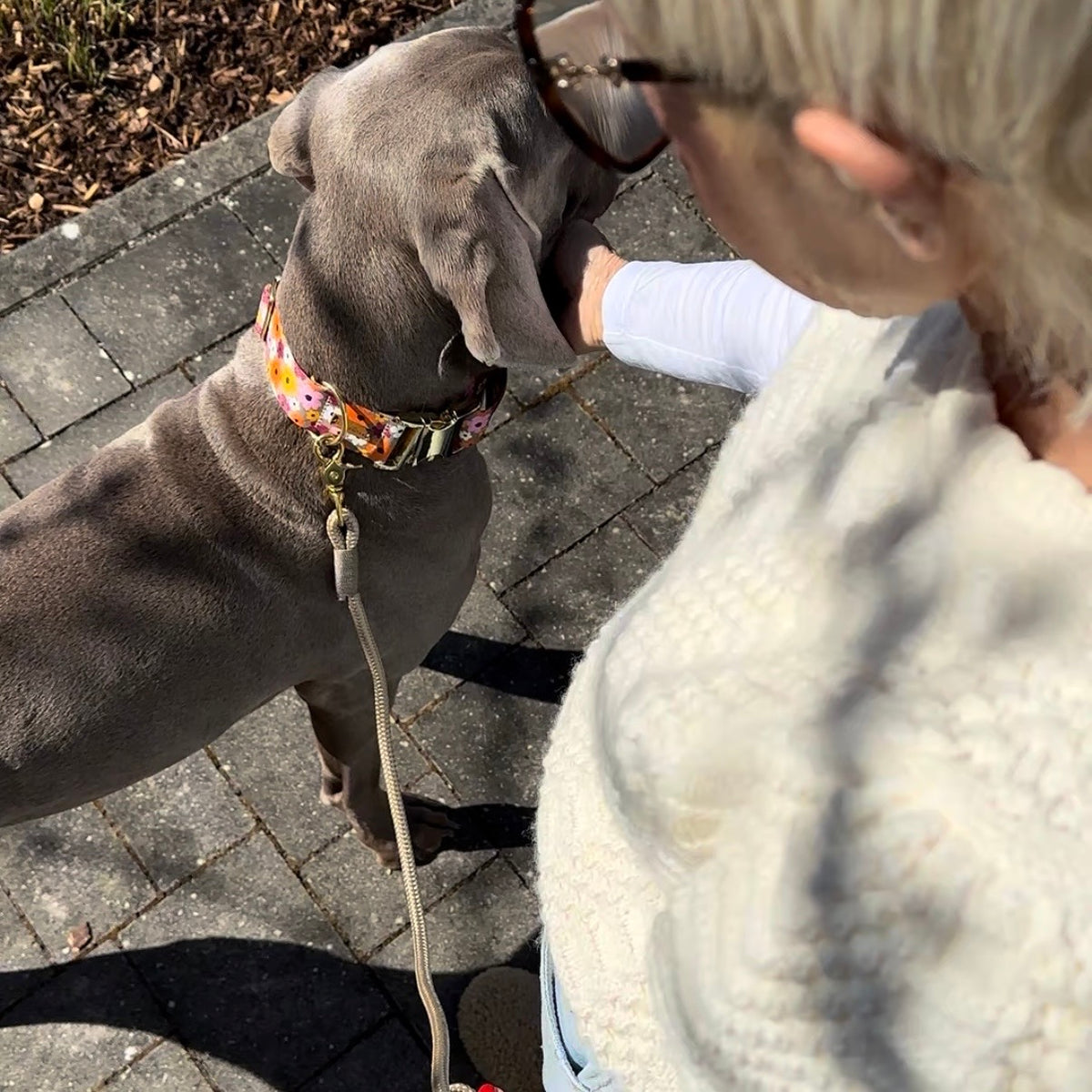 isartau Hundehalsband „Blumenmeer“ am Weimaraner
