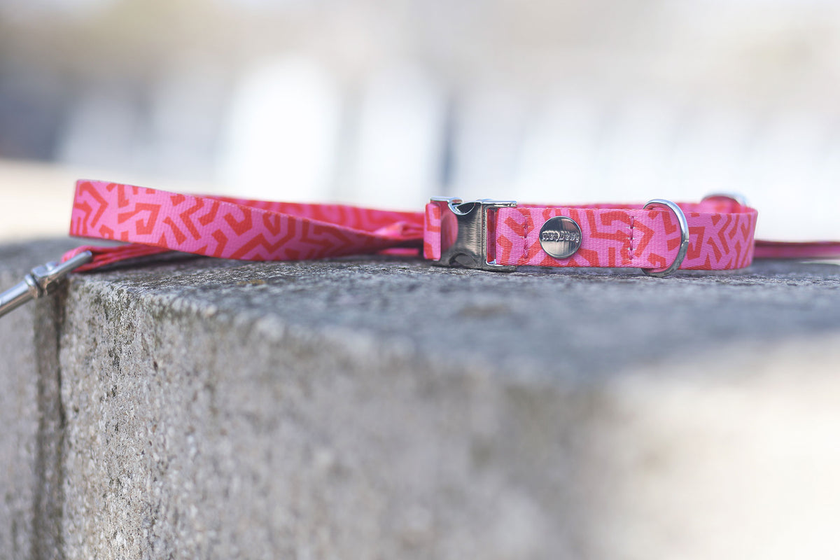 isartau Hundehalsband und Hundeleine „Sweety“, Stimmungsbild