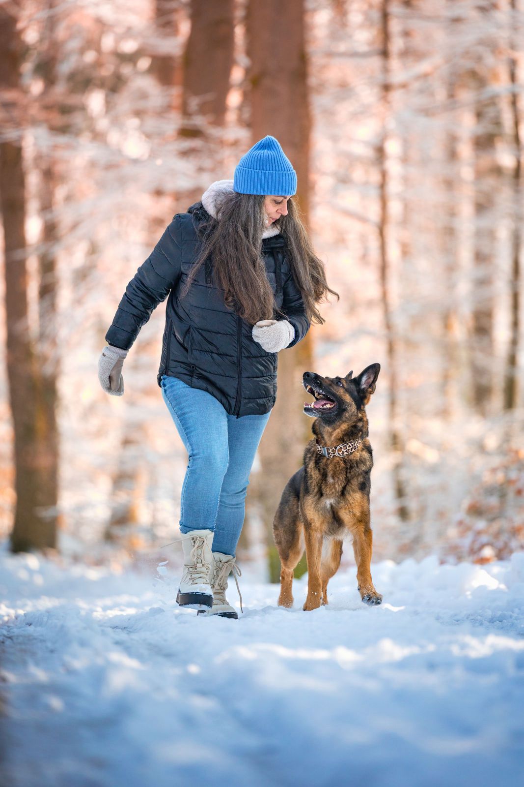 isartau Hundehalsband „Leo“ am Schäferhund