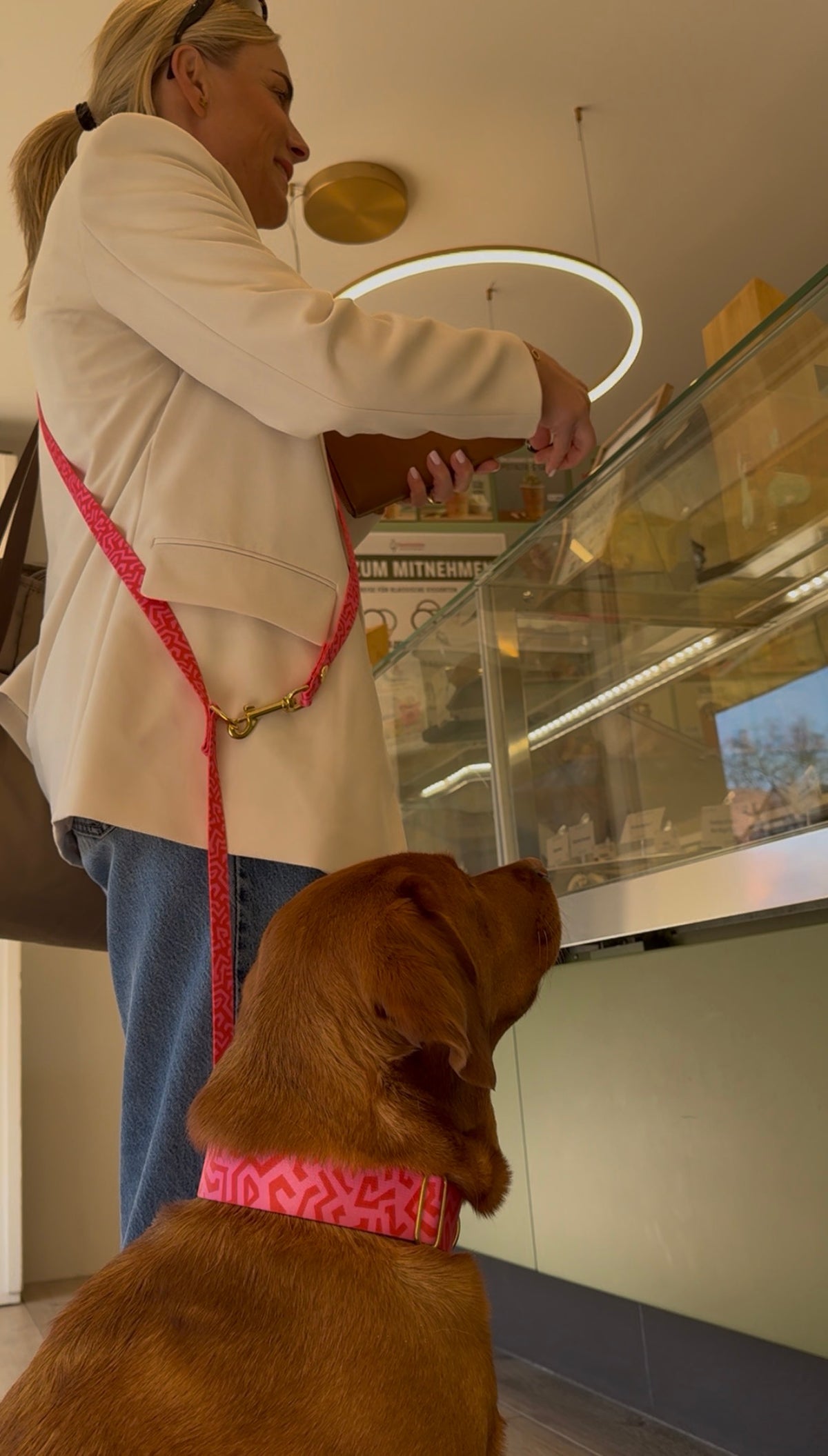 isartau Hundeleine und Hundehalsband „Sweety“ am Labrador